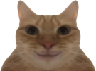 chat-mirroir-sourire