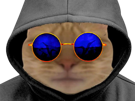 chat-lunettes-bleues-sweat-capuche-hoodie-not-ready-mysterieux-incognito