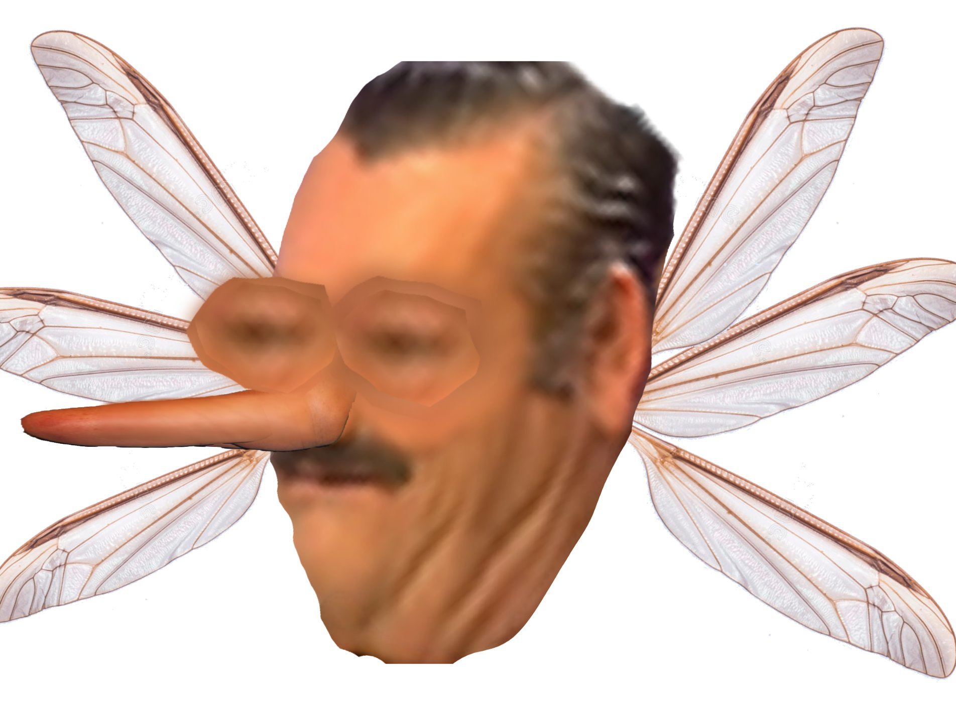 risimoustique risitas moustique ahi ahe aya ayao ataoy bzzzzz bz