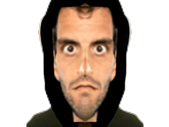 tennis albert ramos vinolas miroir