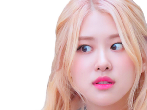 qlc nekoshinoa kpop roseanne rose blackpink zinzin folle choque choc