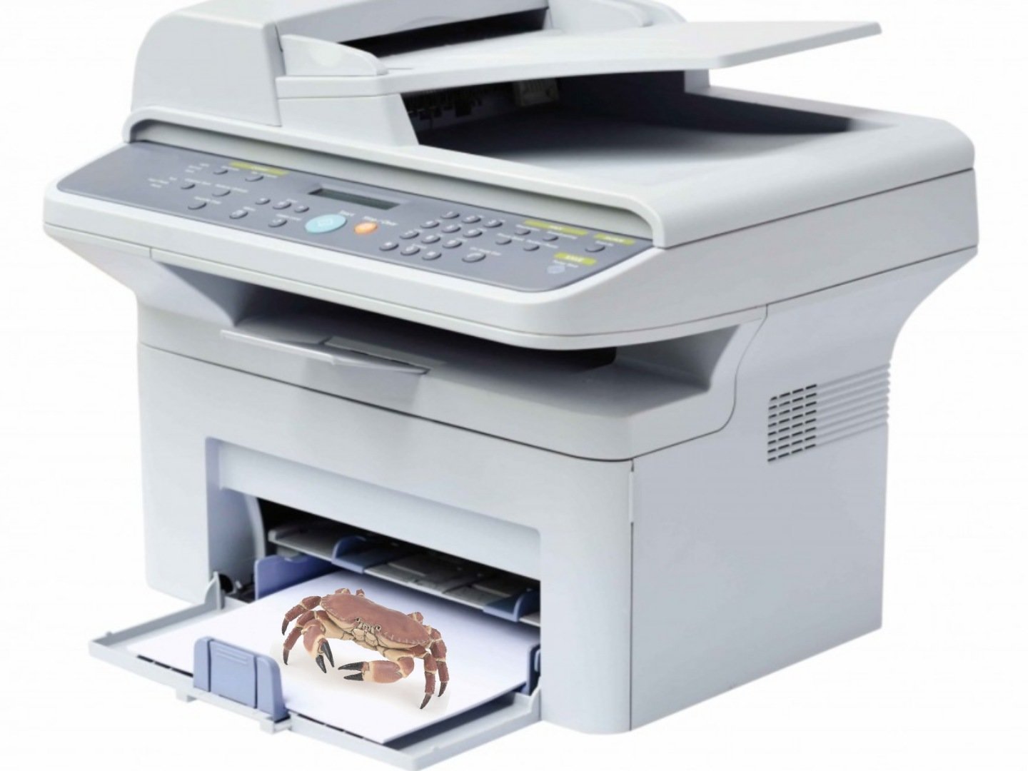 crabe cancer photocopie