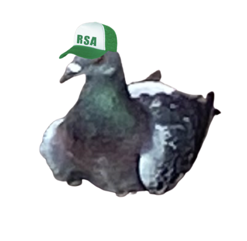 pigeon rsa