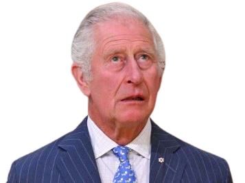 prince charles angleterre monarchie roi