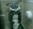 glandilus-lapinou-rabbit-cosplay-chiotte-bath-toilet-deguise-costume-wc-creep-creepy-lapin