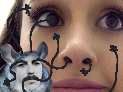 beatles george harrison soyeux chinchilla rongeur mignon coupaing calin -sandesan- gruik main bras