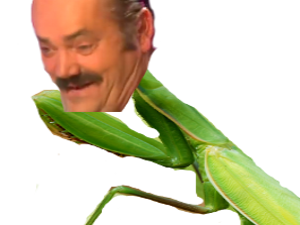 ahi ahii fruit mante religieuse skinny mince fragile predateur