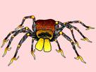 gugus-araignee-tison-spider-tox-spidertox-lapin-pepe-tisonnier-hot-tegenaire-mygale-peur-terreur-nwo