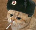 cat-chat-russia-rusian-russie-cigarette-clope-guerre-ukraine-poutine-zelinsky-usa-enerve-triste-mechant