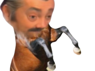 chevalent flip horizontal fouent malade menton surpris