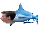 requin-profil-celestin-drague-rue-malaise