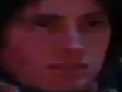 gauchiasse gauchiste lfi melenchon france insoumise democrate trump swing state journal haine desespoir cuck seum