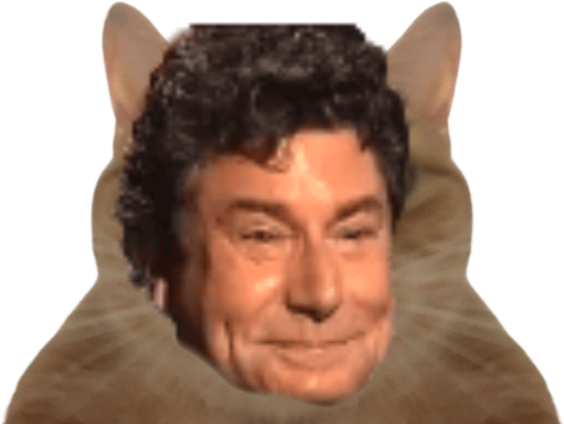 chat jesus content sourire