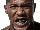anthony-joshua-boxe-anglaise-poids-lourds-aj-jo-champion-boxeur-epic-face-fury-wilder-usyk