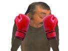 risitas-cocasse-boxe-boxing-boxeur-gants-rouges-fight-combat