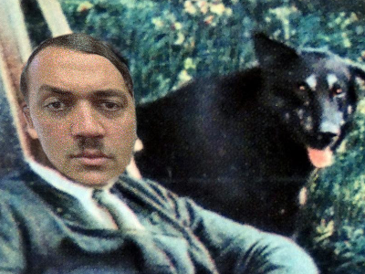 thekairi78 the kairi 78 moustache animal chien hitler paz