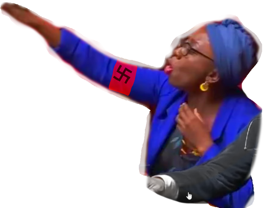 obono ministre nazi assemble salut noir national bleu depute hitler choufin gauche gauchiste gauchiasse