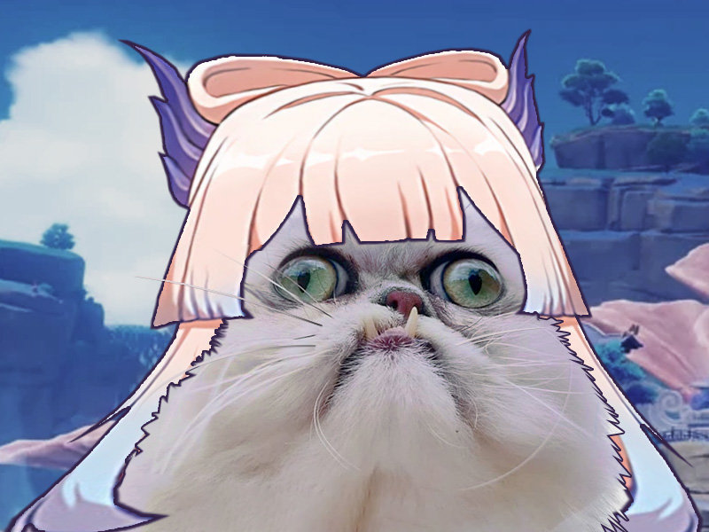 genshin impact kokomi kokochat chat