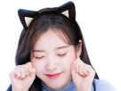iu-iuu-qlc-kpop-nekoshinoa-chat-meow-mignon-cute-cat-aegyo-ronron