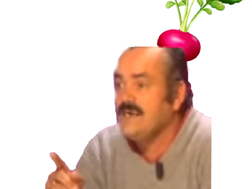 radis raditz radish avn