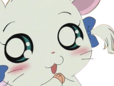 hamtaro poutio kikinoune