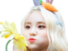 jinsoul-loona-kpop-qlc-nekoshinoa-lapin-carotte-fleur-mignonne-cute-asiatique-coreenne-coreene