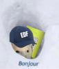 linky-edf-bonjour-electricien-electricite-ours