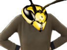 frelon-abeille-risitas