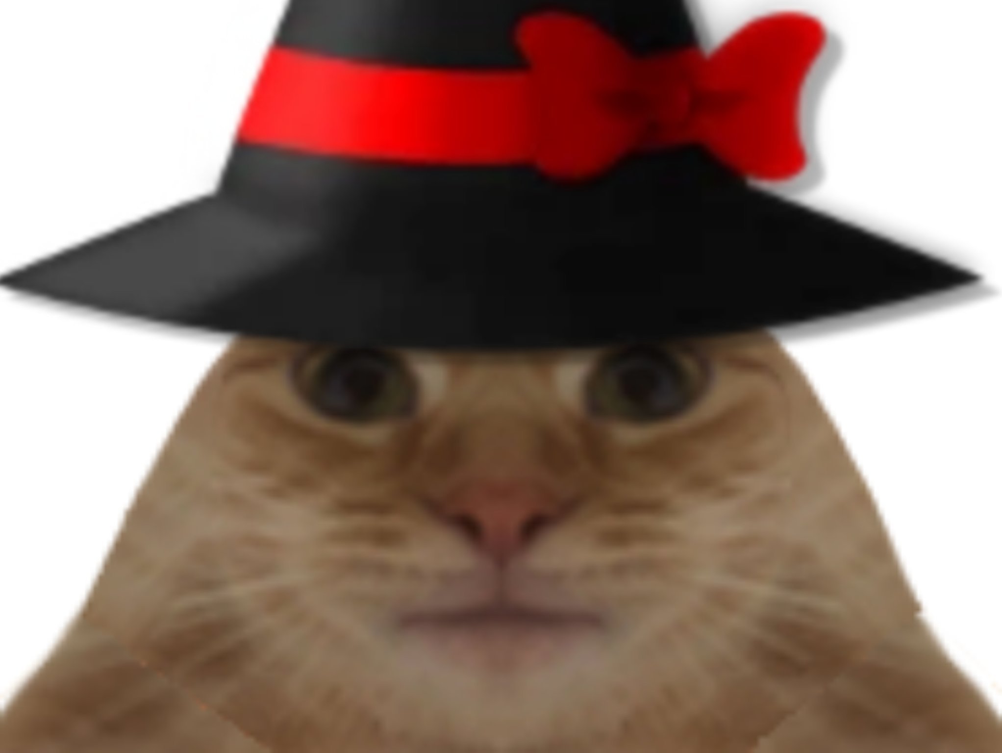 Sticker chat halloween par Guido_
