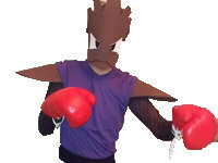 tygnon pokemon bootleg ok