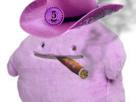 metamorph-violet-cowboy-cigare-fumee-chapeau-nnn-r5-no-nut-november-regiment-cinq-zafeiri