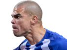 pepe-kepler-laveran-porto-portugal-portugais-football-defenseur-furieux-colere-colerique-rage-enerve