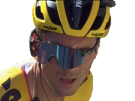 primoz-roglic-cyclisme-chute-jumbo-dopage-visma-slovenie-slovene-vuelta-tour-marlou-sprint-pogacar-wout