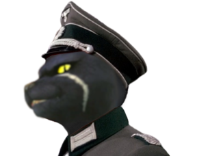 starfox panther caroso assault allemand officier militaire ww2 wehrmacht sternfuchs sourire tinnova