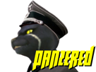 starfox-panther-caroso-assault-allemand-officier-militaire-ww2-wehrmacht-panzered-sternfuchs-sourire-tinnova