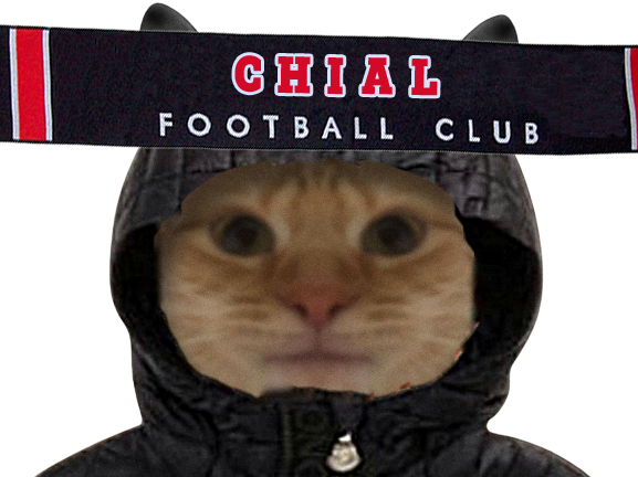 chat capuche chial echarpe foot
