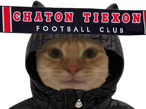 chat capuche chial echarpe foot tiexon chaton