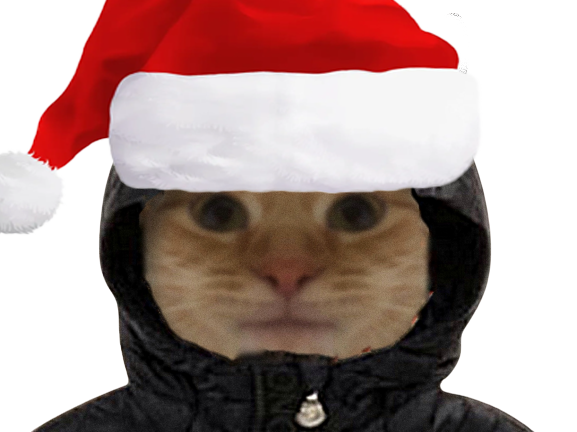 chat capuche noel santa