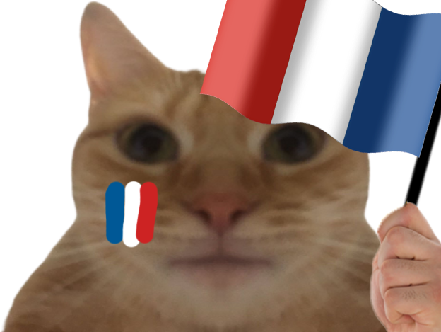 chat supporter foot france