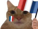 chat-supporter-foot-france