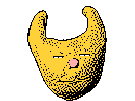 hylics-cat-shoote-chat