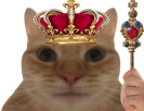 chat-roi-reine-monarque-royal-chef-chaton-meow