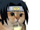 chasoukhey-chasuke-chat-sasuke-petit-lait-drink-milk-pac