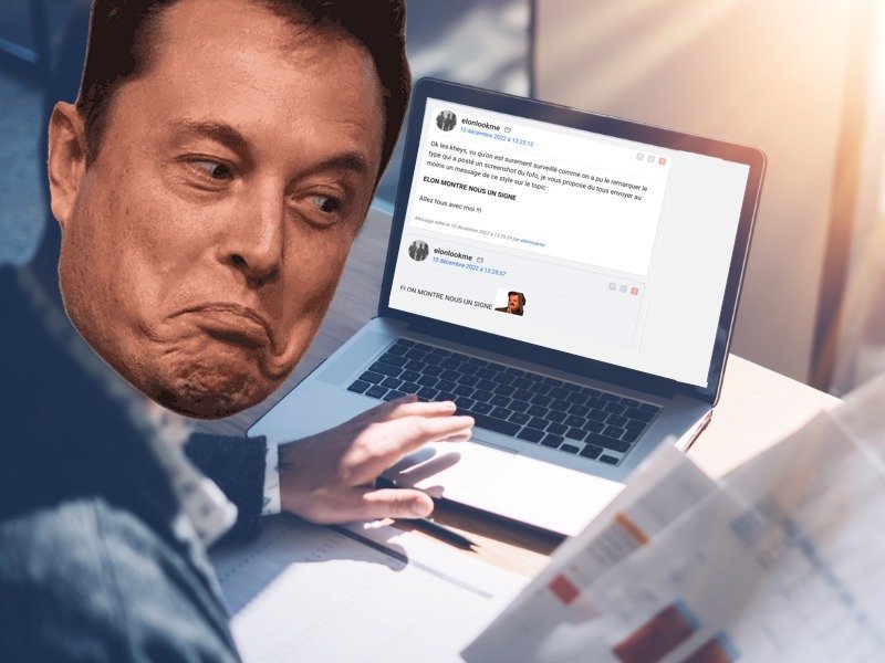 elon we are khey give us sign bordel