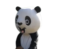 m6u-panda-papy-zinzin-fou-zoo-belgique-pairi-daiza-mascotte-deguisement