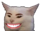 chat-sourire-humain-cat-flippant-meme