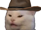 chat-chapeau-cowboy-meme-cat