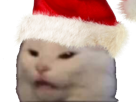 chat-noel-meme-cat