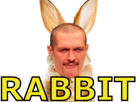 oleksandr-usyk-the-rabbit-boxing-boxe-heavyweight-poids-lourd-champion