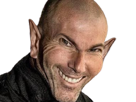 zinedine-zidane-zizou-narquois-malicieux-troll-coach-real-sourire-football-france-elfe-hobbit-oreilles-pointues